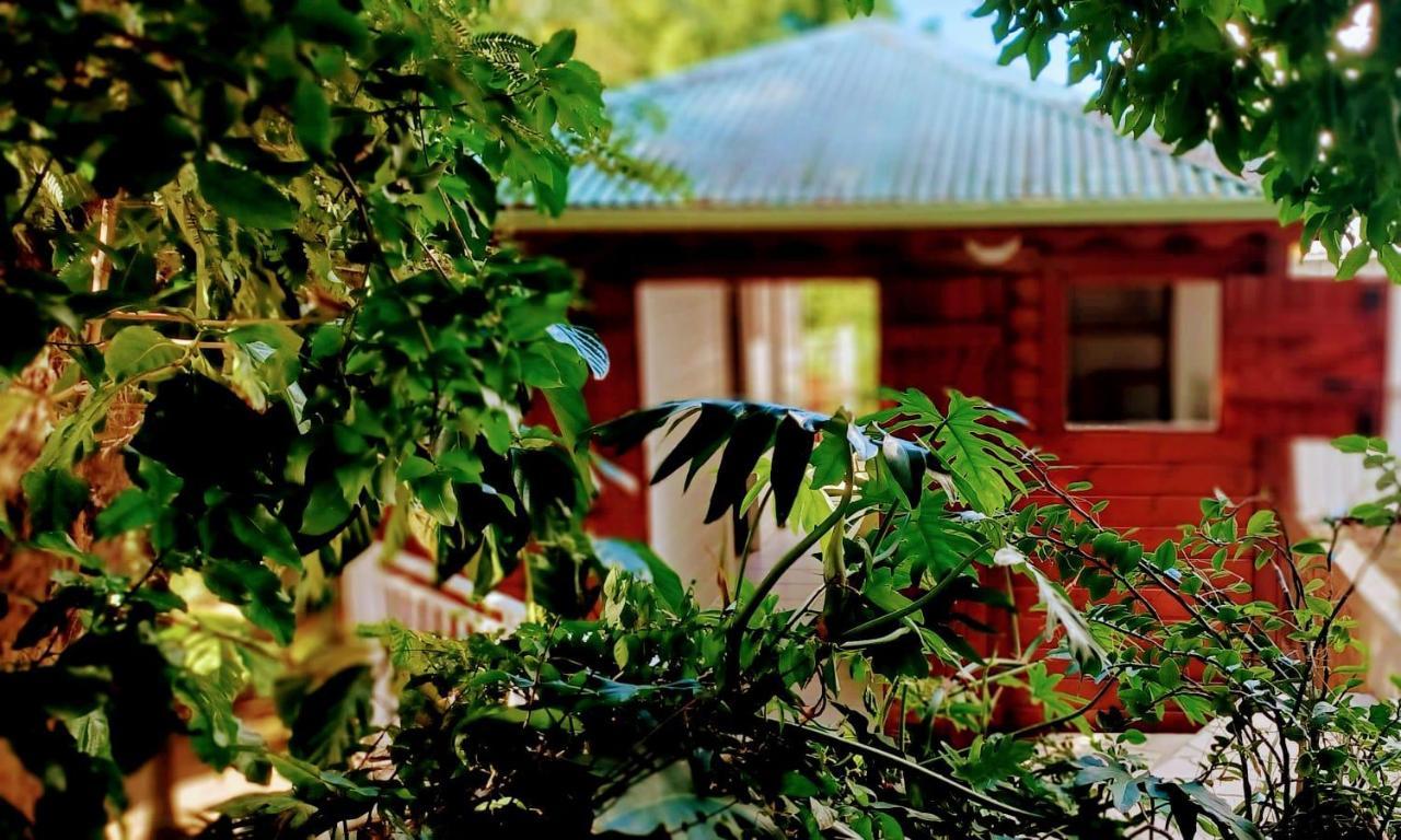 Gite Mamour - Charmant Petit Bungalow A Decouvrir Baillif المظهر الخارجي الصورة
